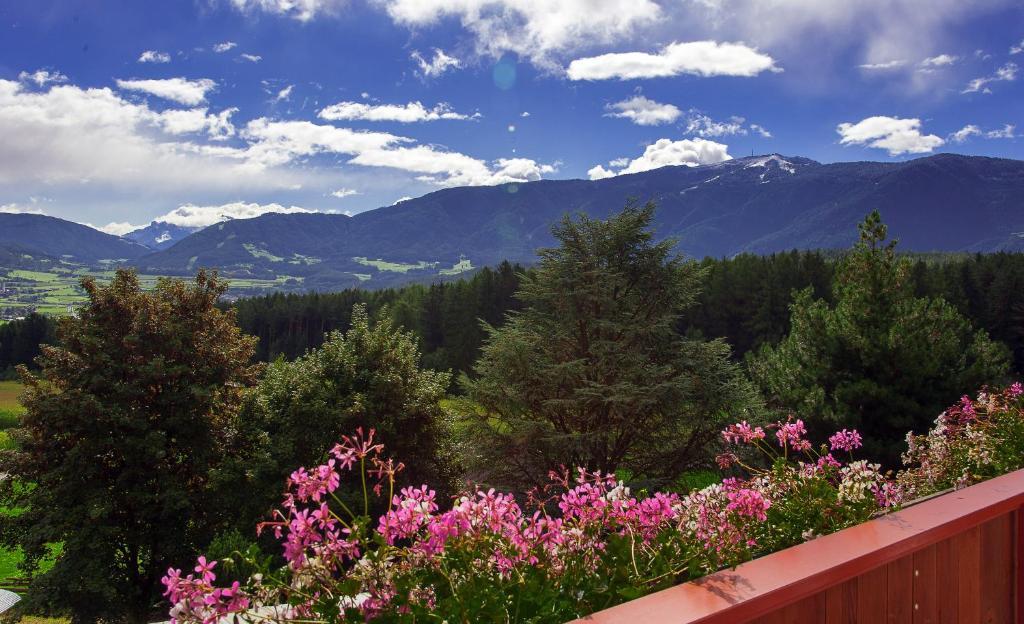 Appartement- Und Wellnesshotel Winkler